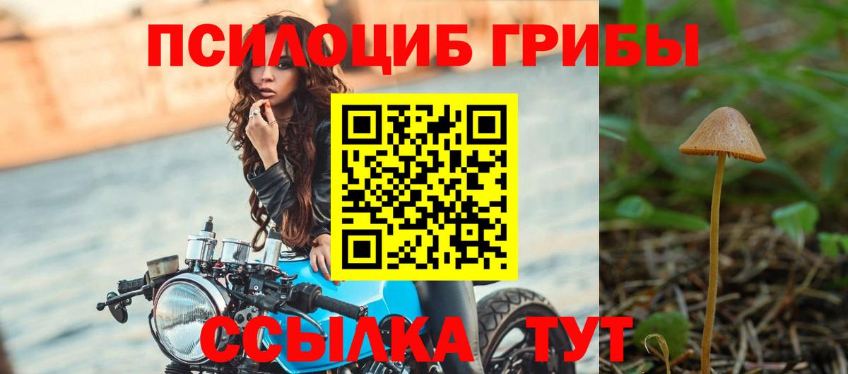 Ессентуки  Псилоцибиновые грибы мицелий  Вход с VPN  Псилоцибиновые грибы прущие грибы 